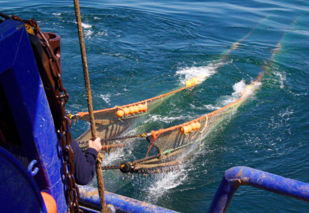 Fischzug in Dänemark: Welche Quellen helfen bei der Fischereiberichterstattung? Eine Kutterfahrt hilft, praktische Fragen besser zu verstehen
