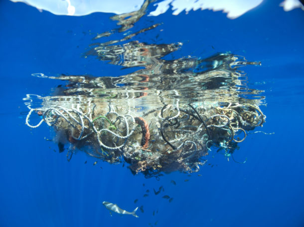 In the middle of the Pacific Ocean, a 200lb. mass of drift net and rope has tangled together slowly over time. Though fish and crabs live successfully in and around the debris, other wildlife like turtles, sea lions and sharks get tangled in the ropes and die of starvation.