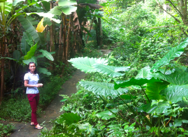 Eine Biologin führt uns durch den Garten der Forschungsstation Me Linh Station am Rande deas Tam Dao-Parks