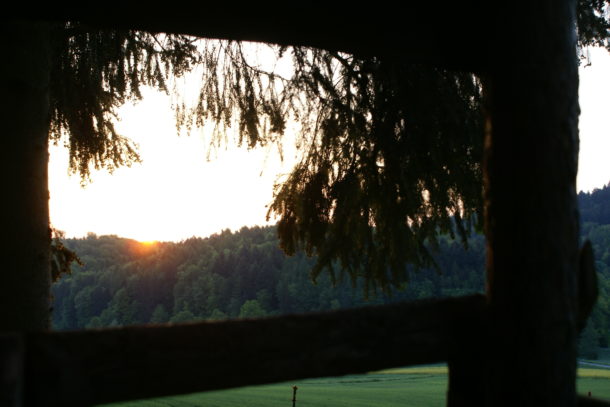 Sonnenaufgang am Hochsitz