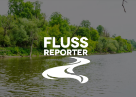 Das Online-Magazin Flussreporter. Foto: Flussreporter