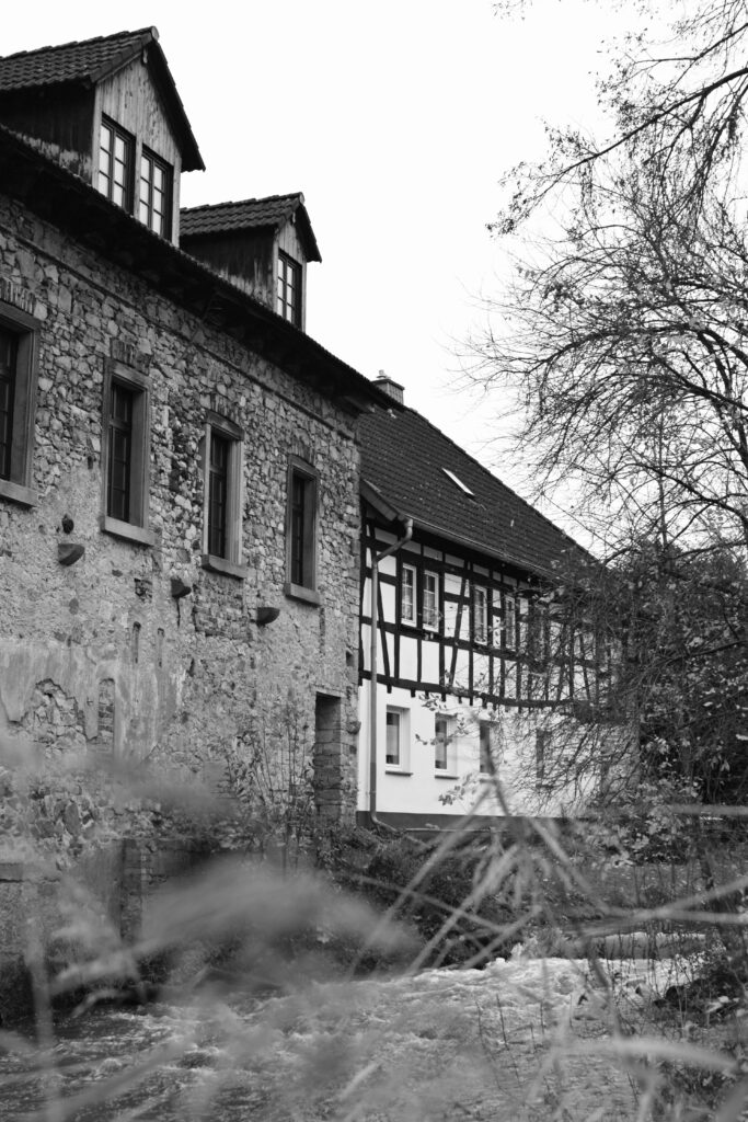 Blick auf das Museum an der Gersprenz in Münster von der gegenüberliegenden Uferseite. Im Vordergrund wachsen Schilfpflanzen, während im Hintergrund die alte Langsmühle zu sehen ist, die das Museum beherbergt. Der vordere Teil des Gebäudes besteht aus Bruchsteinen, der hintere im Fachwerkstil.