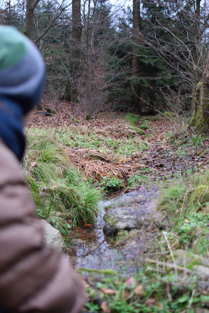 Mein Partner Marvin verfolgt den Verlauf der Gersprenz, nachdem sie aus ihrer Quelle getreten ist und sich durch den Wald schlängelt.