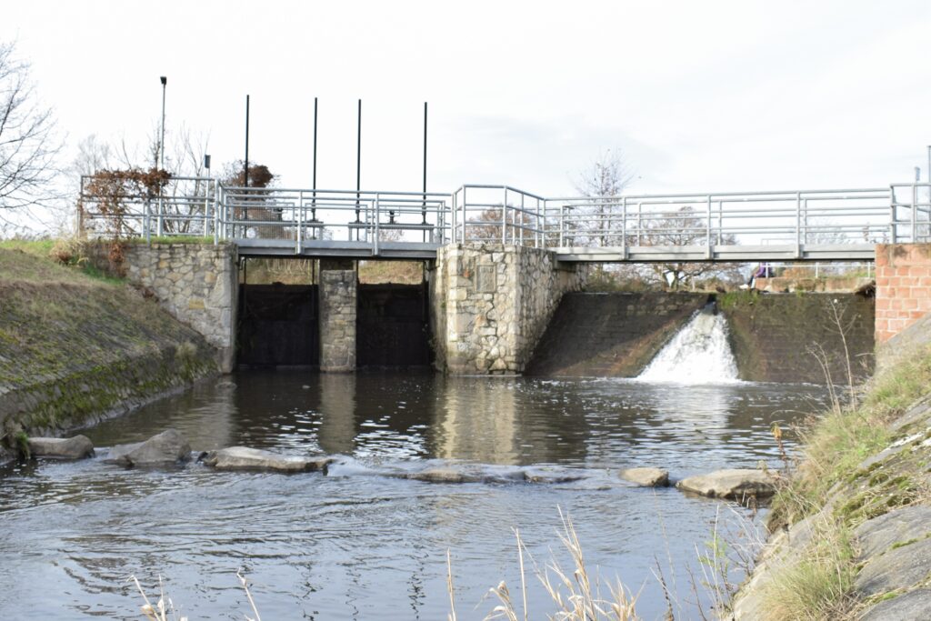 Das Stauwehr bei der Konfurter Mühle wirkt mit seinen betonierten Stützpfeilern wie ein Fremdkörper in der Landschaft.