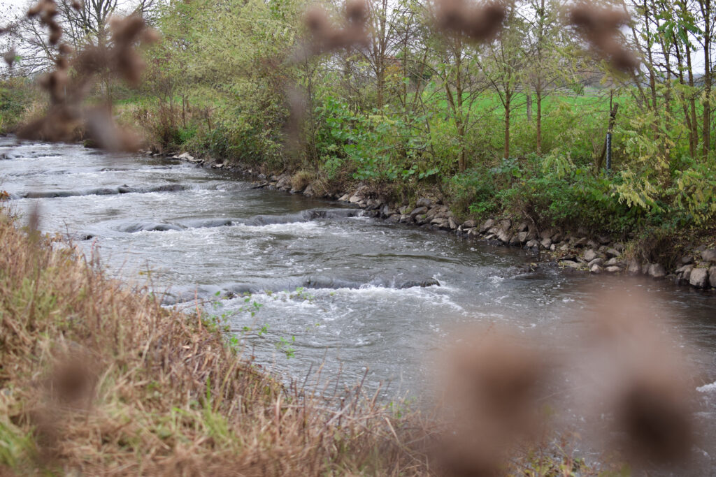 Eine Fischtreppe am Hauptarm der Gersprenz ermöglicht Fischen den Aufstieg. Sie besteht aus mehreren Stufen, über die das Wasser sanft fließt. Große Steine und grüne Pflanzen säumen die Uferseite und tragen zur natürlichen Umgebung bei.